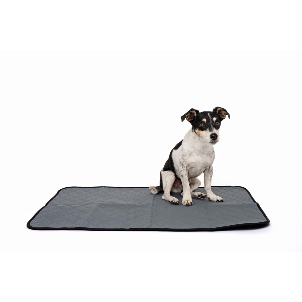 M-PETS Yıkanabilir Çiş Eğitim Pedi (M)