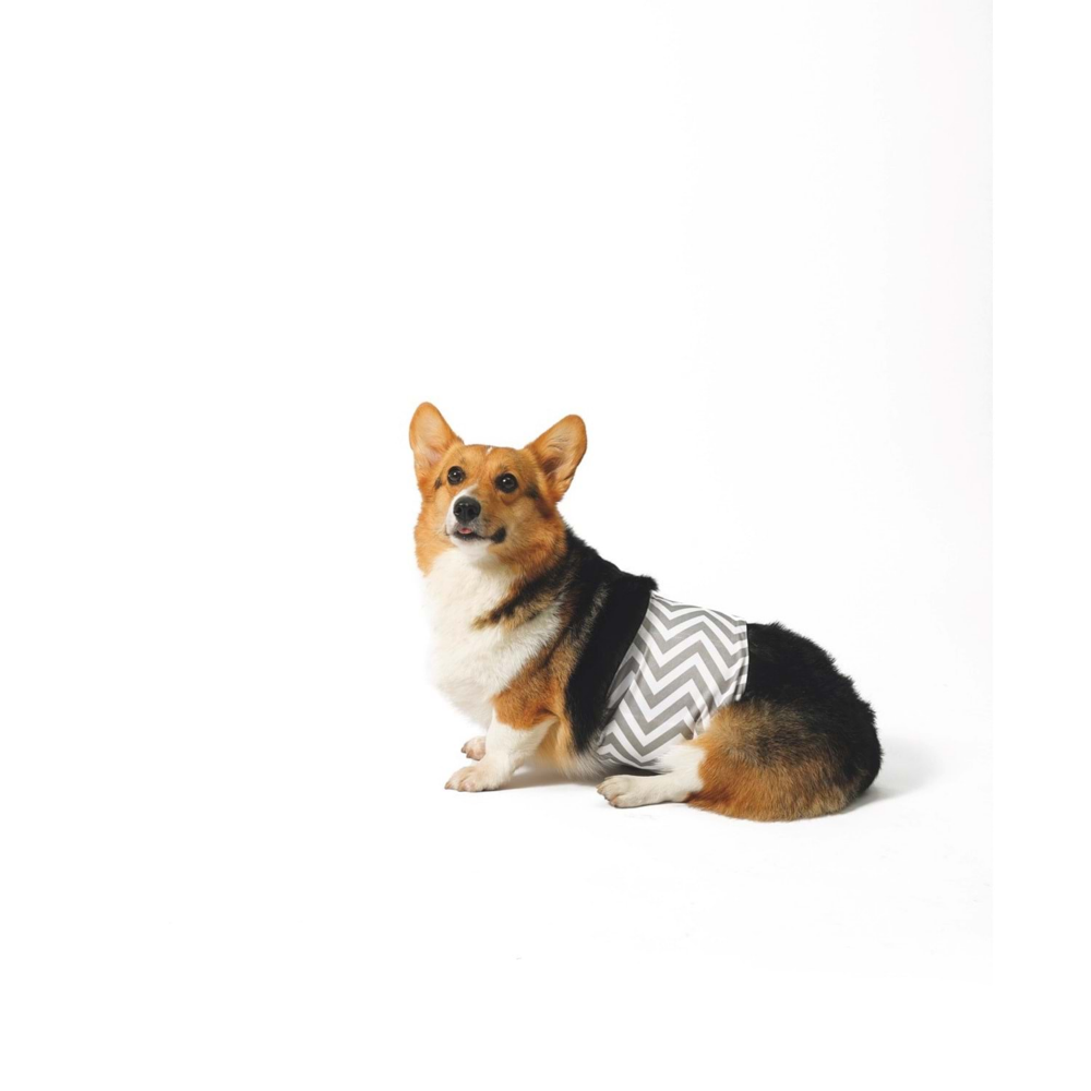 M-Pets Erkek Köpekler İçin Yıkanabilir Külot (S)