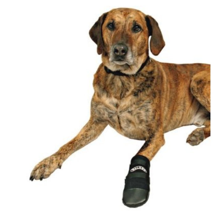 Trixie Köpek Patiği , Neopren 2 Ad , XxXL ,Siyah