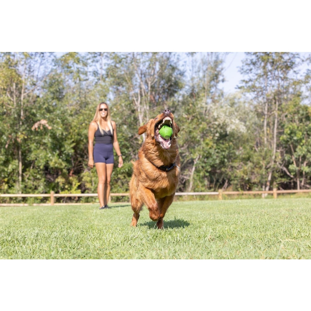 Chuckit! Erratic Ball Köpek Oyun Topu (Büyük Boy)