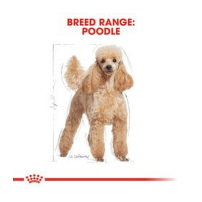 Royal Canin Poodle Adult 3 Kg Yetişkin Kuru Köpek Maması
