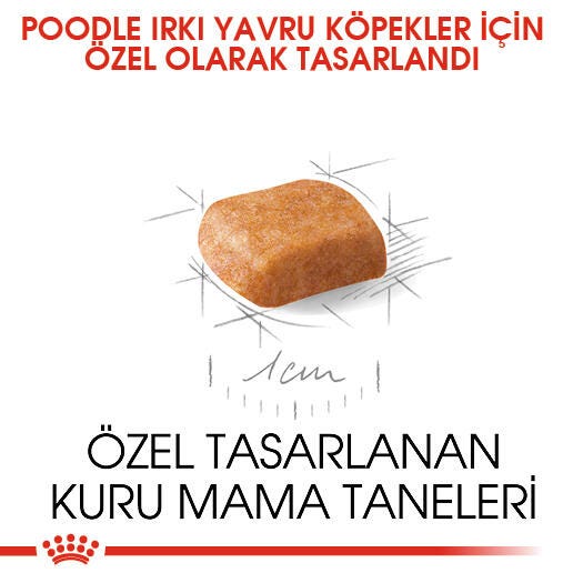 Royal Canin Poodle Junior 3 Kg Yavru Kuru Köpek Maması