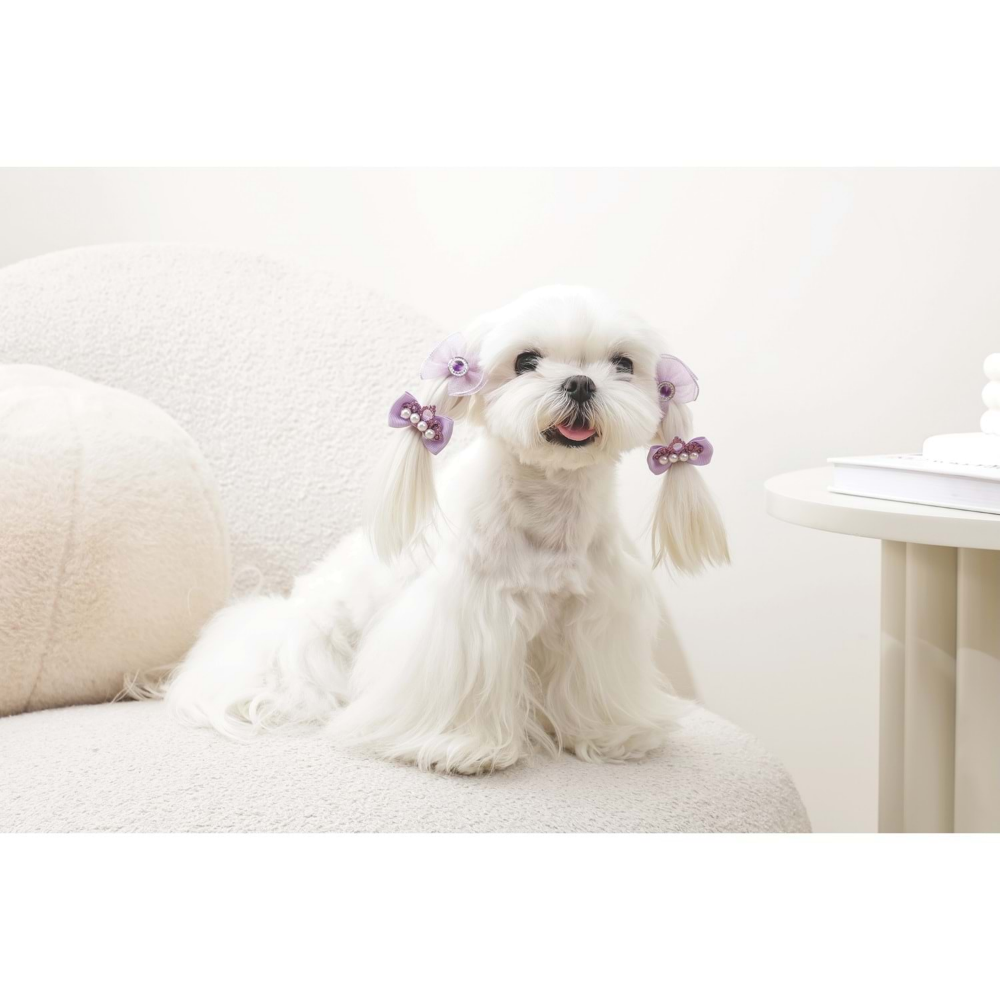 M-Pets Glam Köpekler İçin Aksesuar Toka Purple