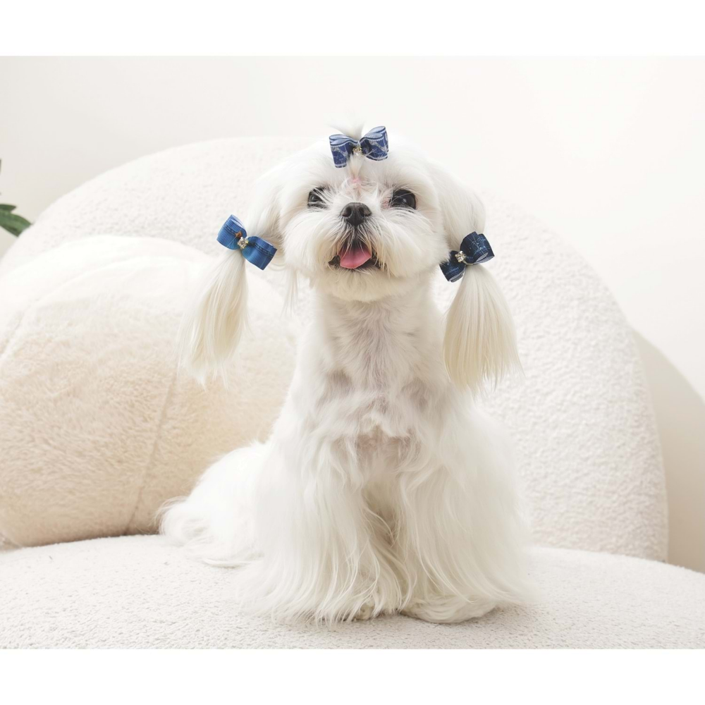 M-Pets Glam Köpekler İçin Aksesuar Toka Blue