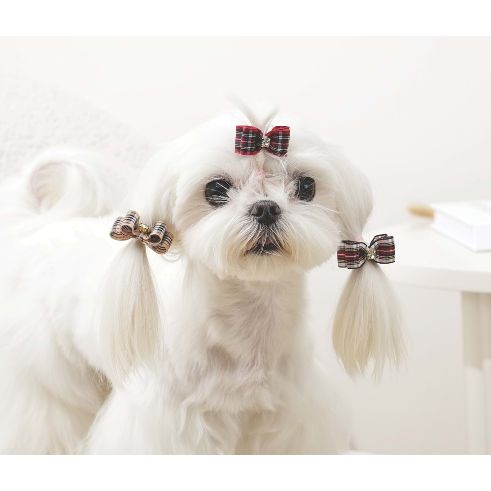 M-Pets Glam Köpekler İçin Aksesuar Toka Red