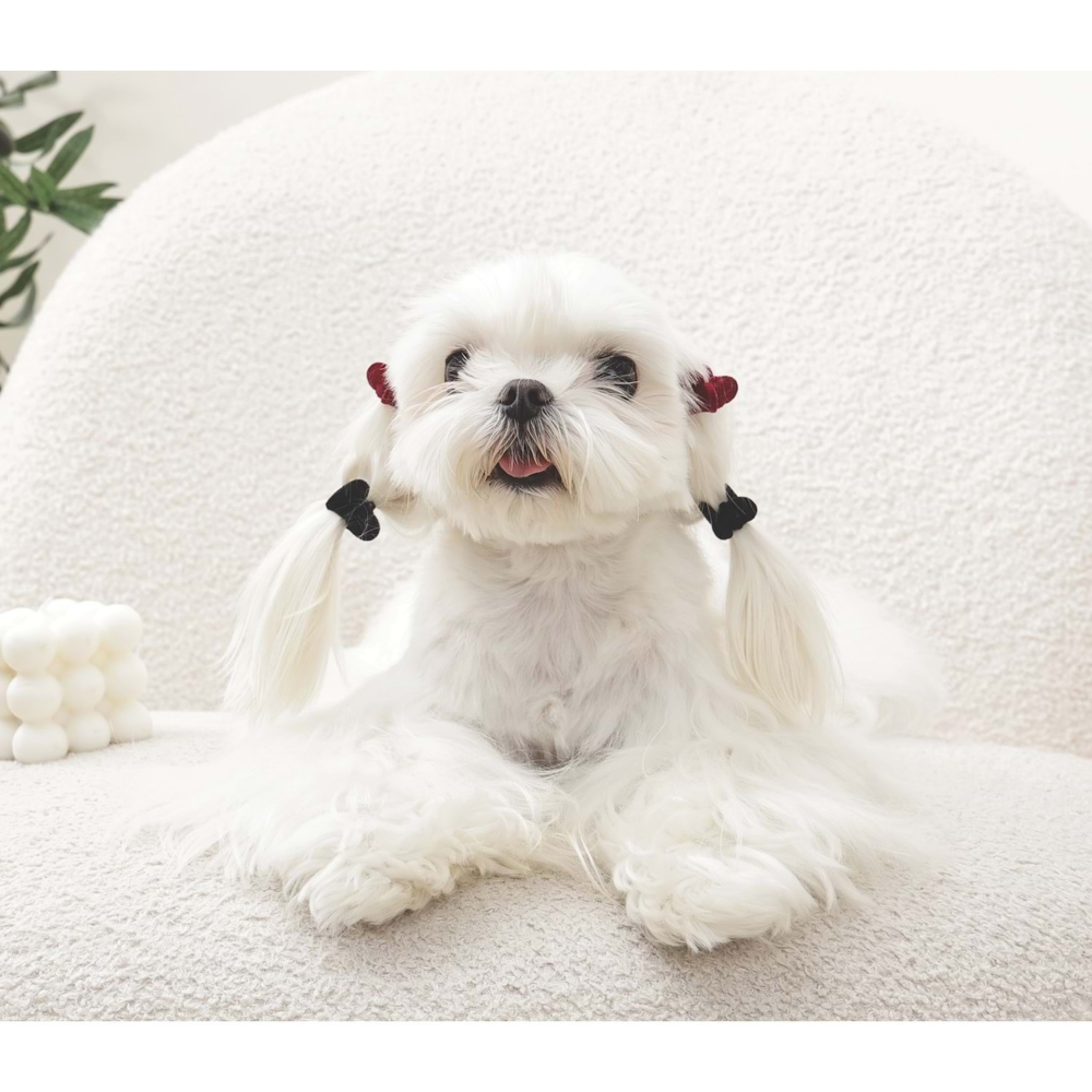 M-Pets Glam Köpekler İçin Aksesuar Toka Black/Red