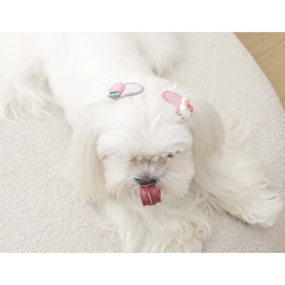 M-Pets Glam Köpekler İçin Aksesuar Toka Pink