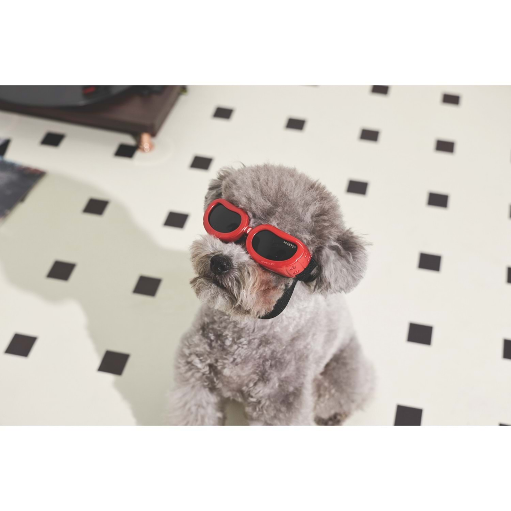 M-PETS Sunny Daytrıp Köpekler İçin Gözlük Red