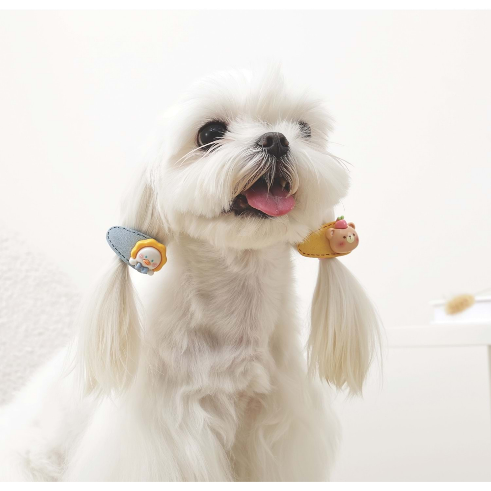 M-Pets Glam Köpekler İçin Aksesuar Toka Yellow