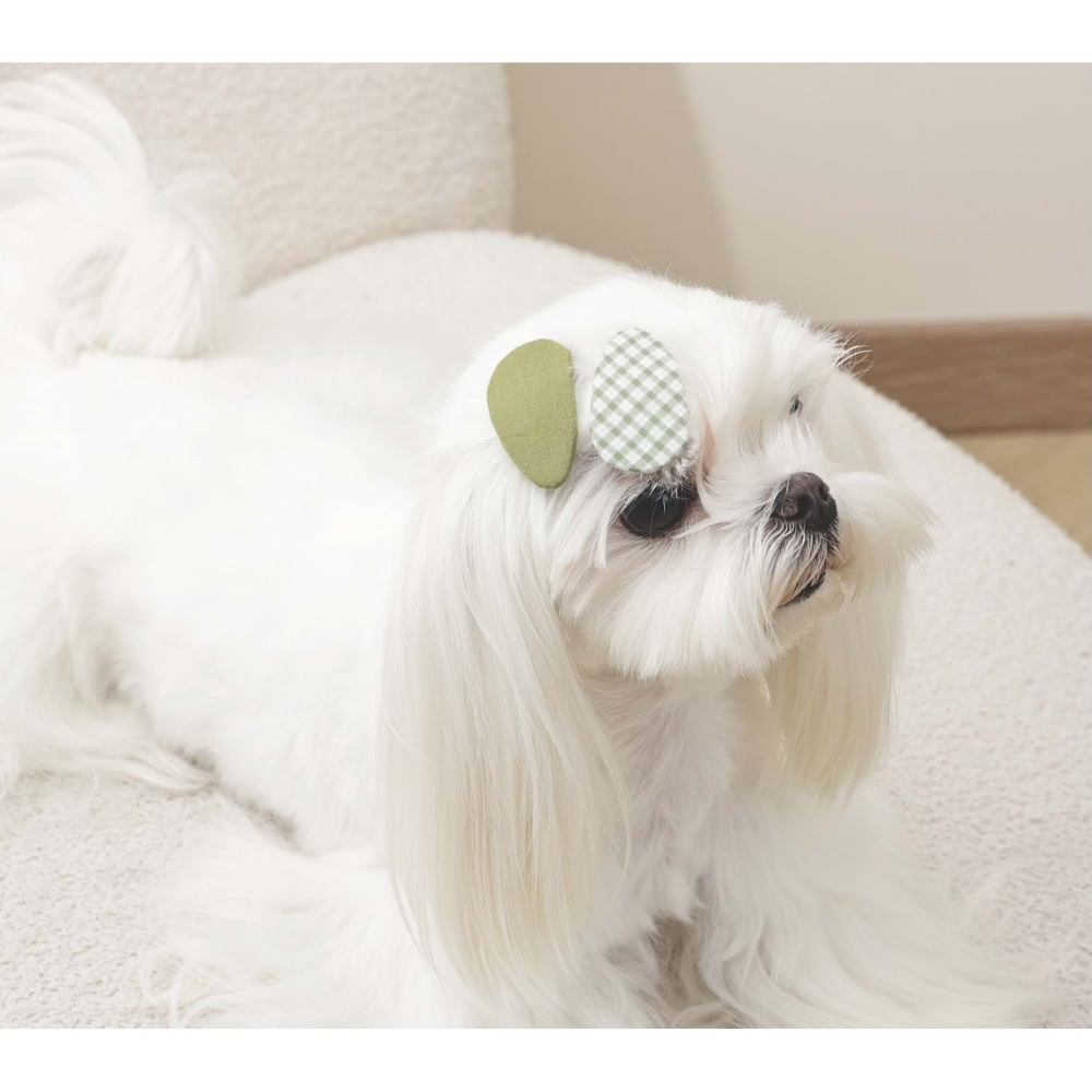 M-Pets Glam Köpekler İçin Aksesuar Toka Green