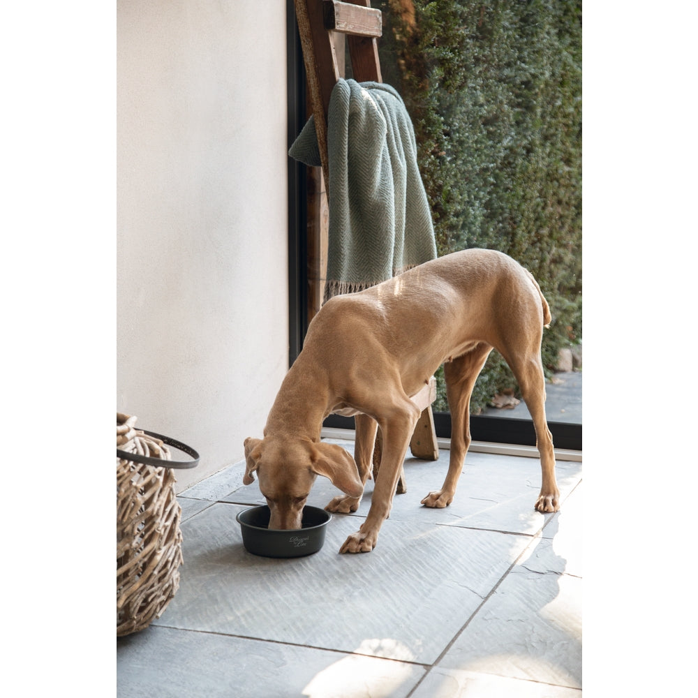 Beeztees DBL Köpek Mama Su Kabı, Mat Siyah Paslanmaz Çelik, 20cm, 1,9L