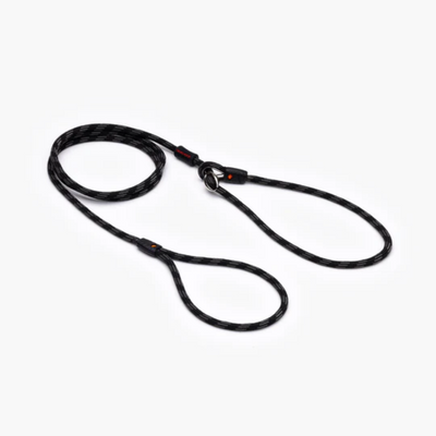 EzyDog Luca 67" Black 170cm