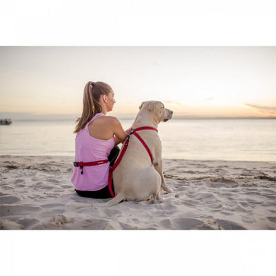 Ezydog 01309 Leashes Road Runner Zerro Shock 82"