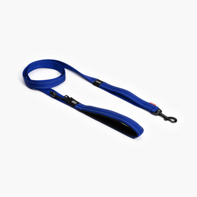 Ezydog 00104 Leashes Trainer Soft 25Mm 181Cm Blue