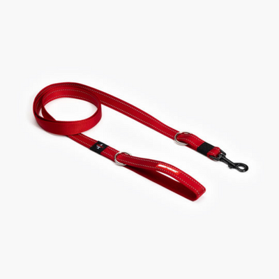 Ezydog 64258 Leas Vario 4 25Mm 6" Red (15,25Cm)Snapclıp