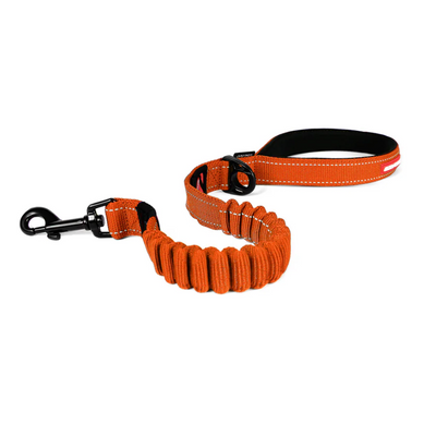 Ezydog Leash Zero Shock 48" Orange 122cm