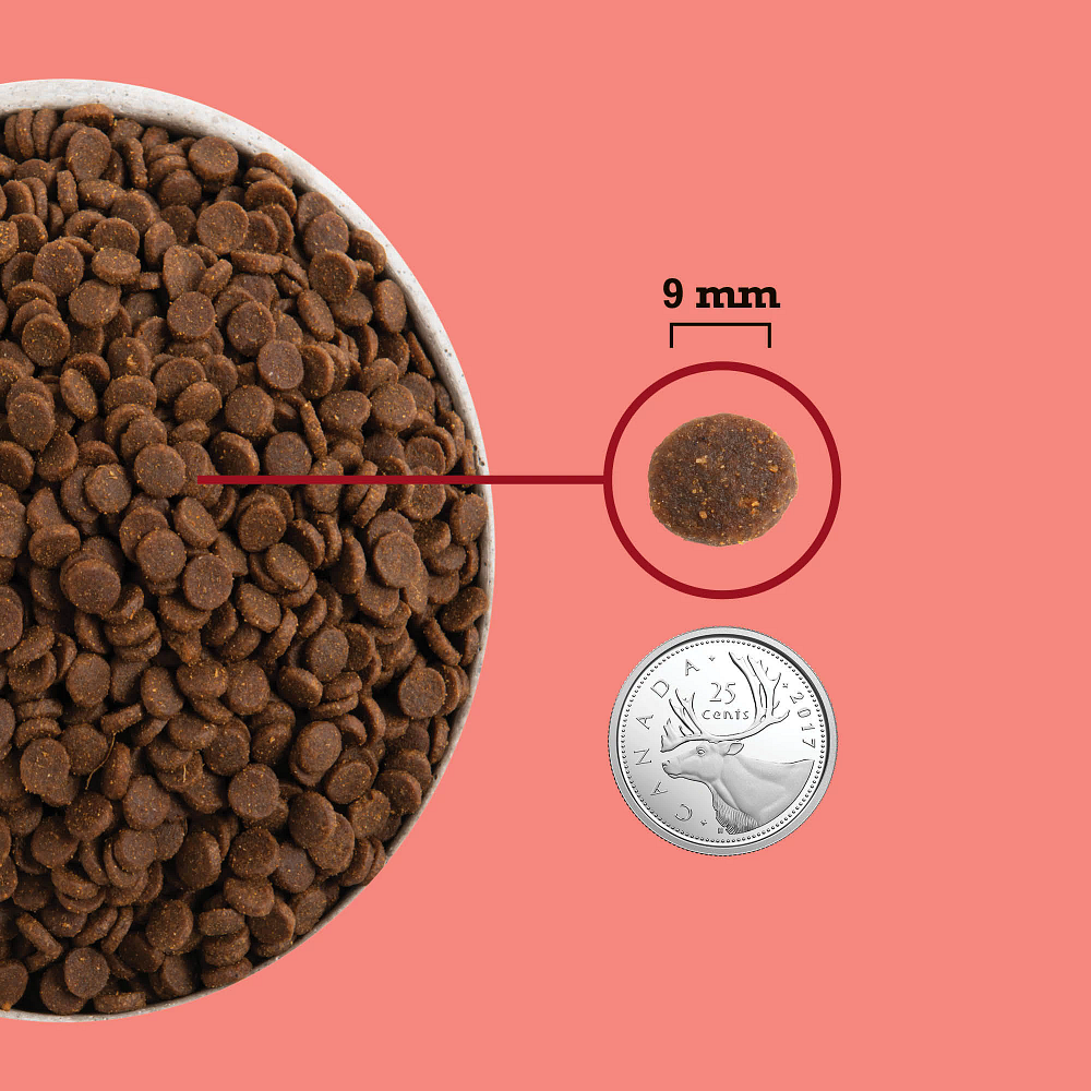 Acana Highest Protein (Yüksek Protein) Indoor Yetişkin Kedi Maması 1.8 Kg