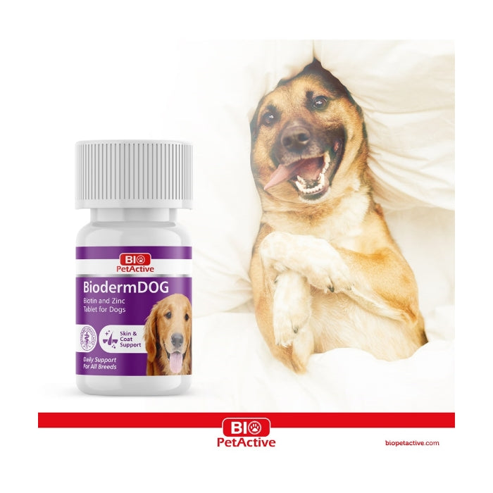 Bio Pet Active Biodermdog 0,5 Gr 75 Tablet 37,5gr
