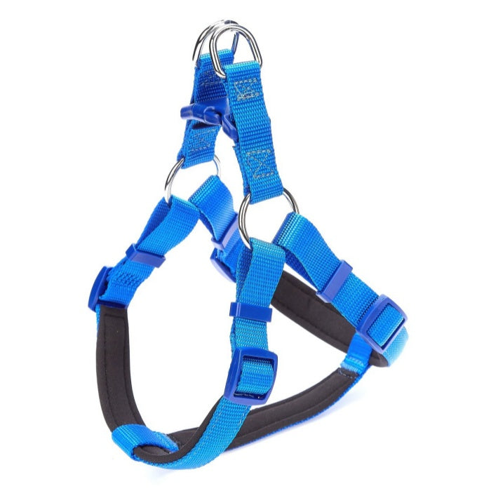 Doggie Konfor Dokuma Ronin Göğüs Tasması Royalmavi 2X45-55Cm