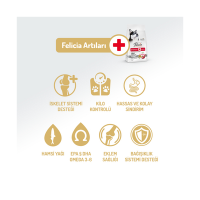 Felicia Az Tahıllı 3 Kg Yetişkin Kuzulu M/Large Breed HypoAllergenic Köpek Maması
