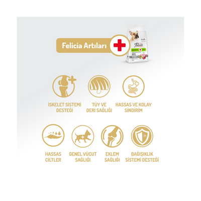 Felicia Az Tahıllı 3 Kg Yetişkin Kuzulu Small/Mini HypoAllergenic Köpek Maması