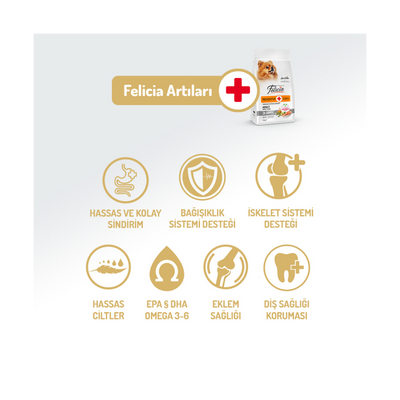 Felicia Az Tahıllı 3 Kg Yetişkin Somonlu Small /Mini HypoAllergenic Köpek Maması