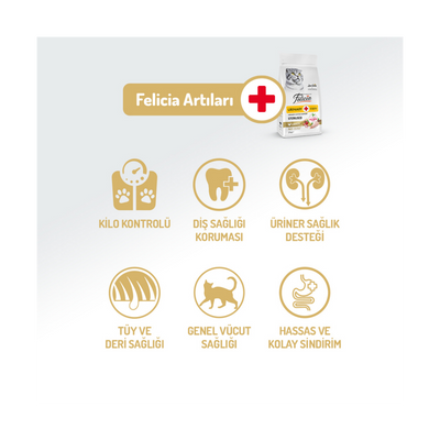 Felicia Az Tahıllı 2 Kg Sterilised Tavuklu HypoAllergenic Kedi Maması