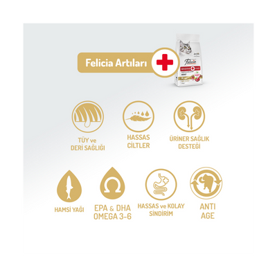 Felicia Az Tahıllı 2 Kg Kuzu Etli Yetişkin HypoAllergenic Kedi Maması