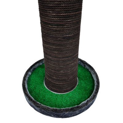 Lotus Palmiye Kedi Tırmalaması