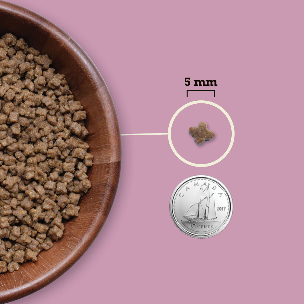 Acana Highest Protein Kitten Yavru Kedi Maması 1.8 Kg