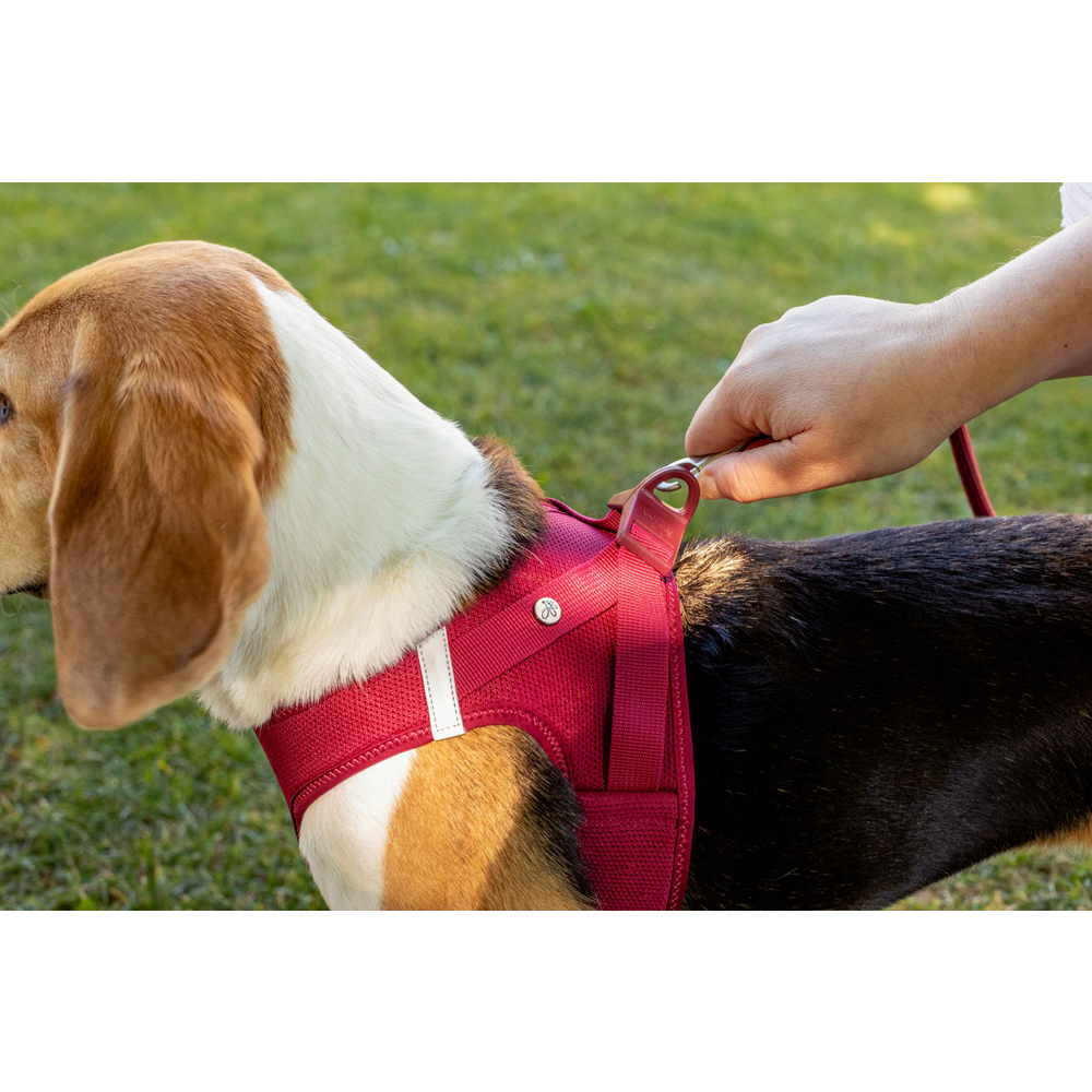 Curli Vest Harness Curli Clasp Air-Mesh Light-Tan M