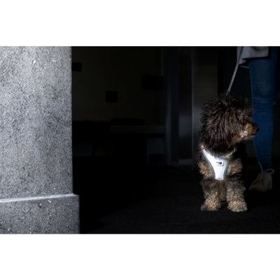Curli Glow Curli Clasp Vest Harness Reflectıve Gray XL