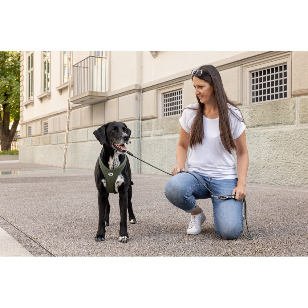 Curli Vario Comfort Leash Black L
