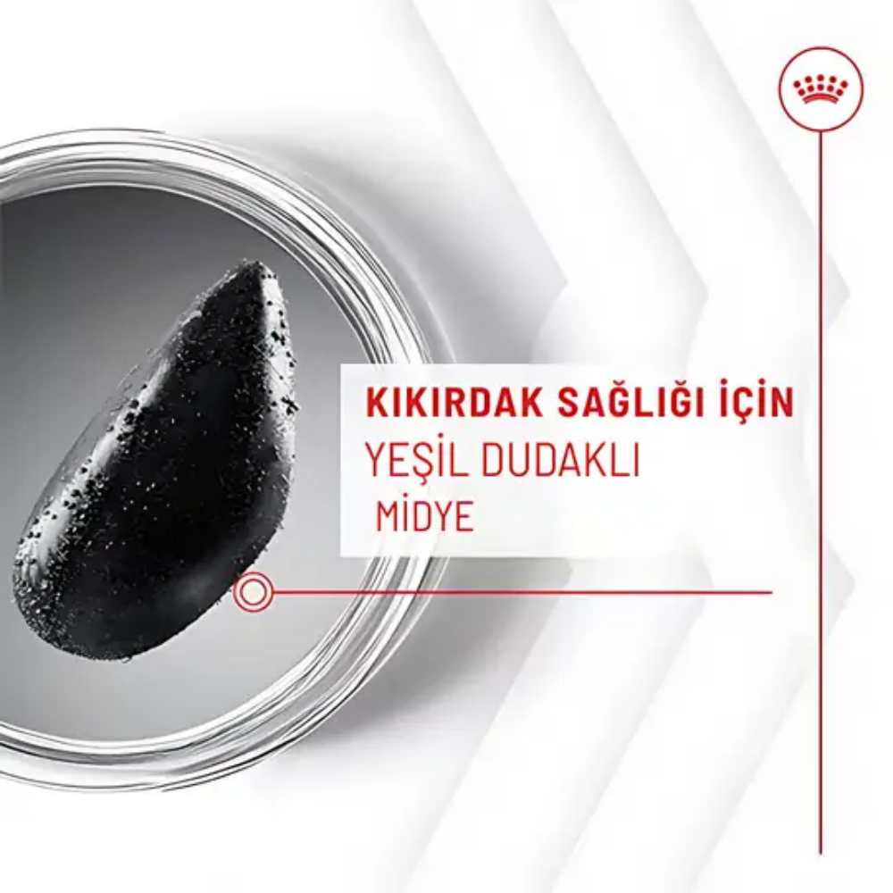 Royal Canin Eklem ve Sağlıklı Yaşlanma Destekli Yetişkin Köpek Ödül Maması 240gr