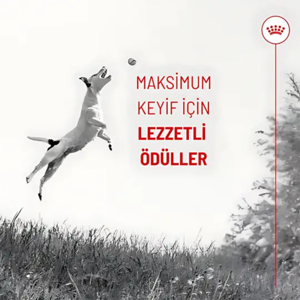 Royal Canin Eğitim İçin Yavru Köpek Ödül Maması 110gr