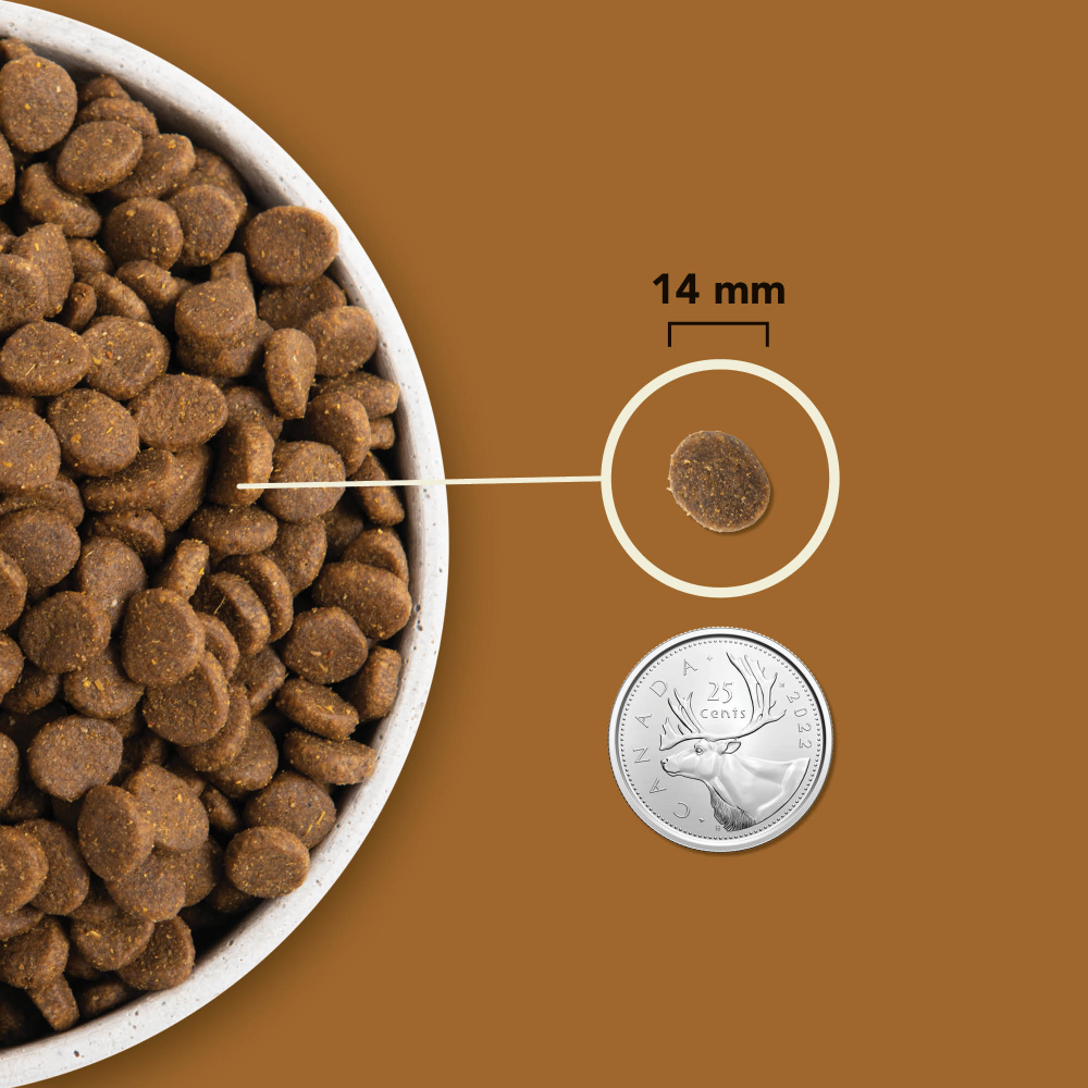 Acana Regionals - Ranchlands Köpek Maması 2 Kg - Tüm Irk Ve Yaşam Evreleri İçin