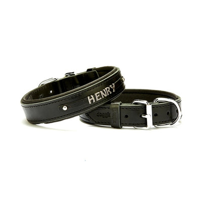Doggie Konfor Deri İsimlikli Boyun Tasması Siyah 3X42-50Cm