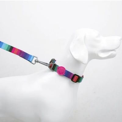 TailPetz Wave Boyun Tasması M