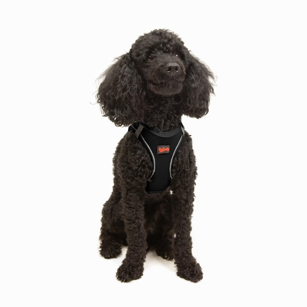 TailPetz Airmesh Black Köpek Göğüs Tasması XS