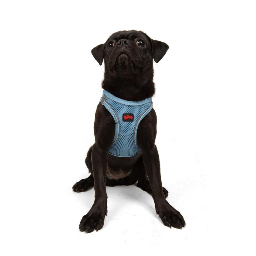 TailPetz Airmesh Blue Köpek Göğüs Tasması M