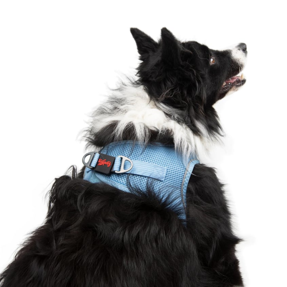 TailPetz Airmesh Blue Köpek Göğüs Tasması XL