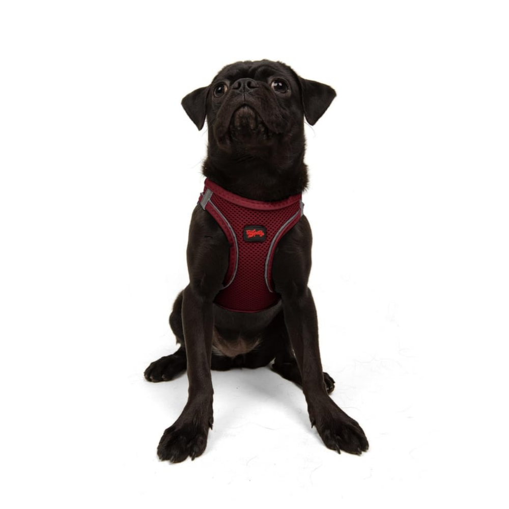Tailpetz Airmesh Harness Claret Köpek Göğüs Tasması M