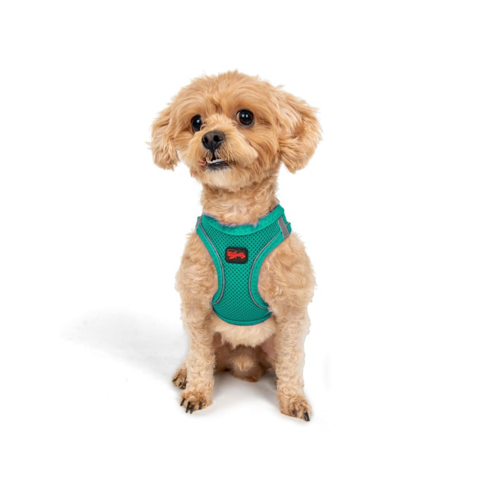TailPetz Airmesh Emerald Köpek Göğüs Tasması 3XS