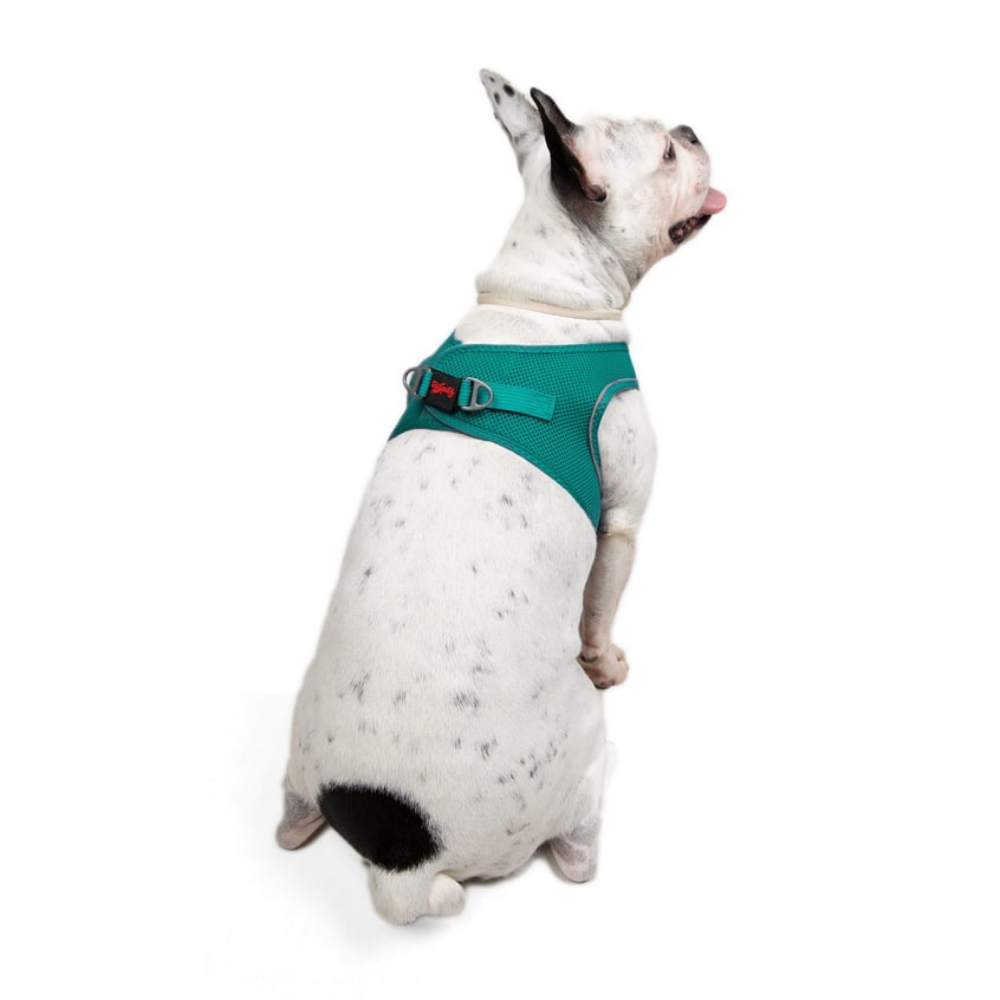 TailPetz Airmesh Emerald Köpek Göğüs Tasması L