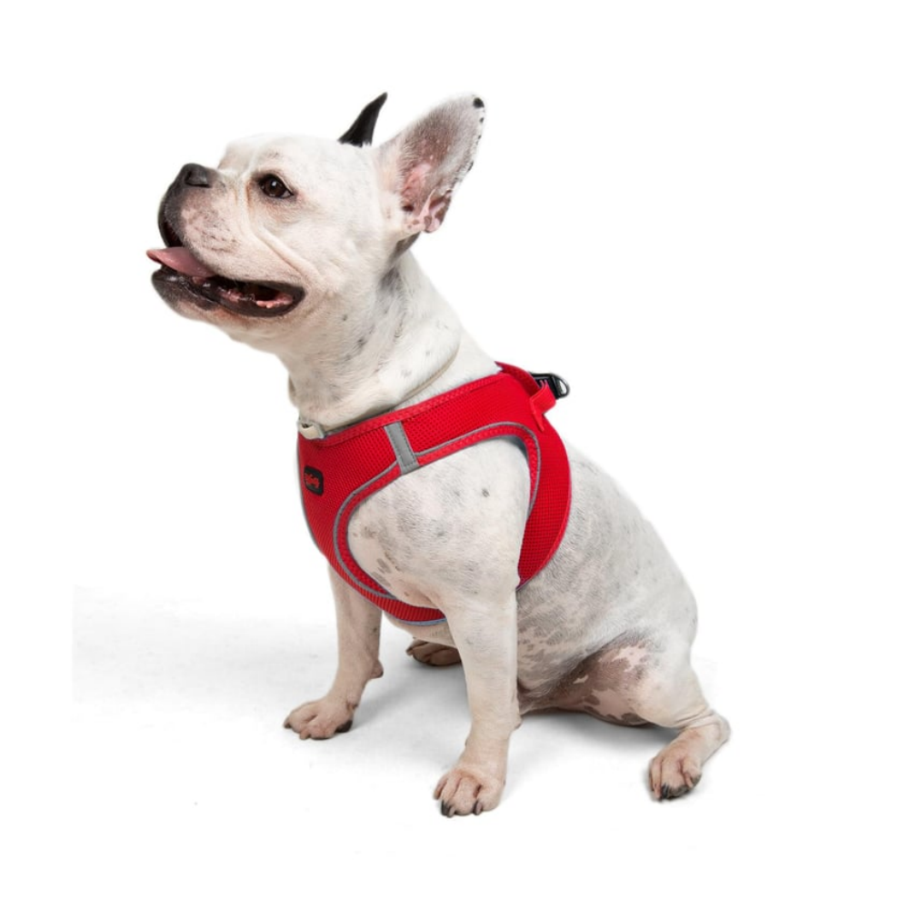 Tailpetz Airmesh Harness Garnet Köpek Göğüs Tasması L