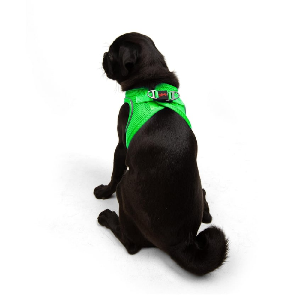 TailPetz Airmesh Neo Green Köpek Göğüs Tasması M