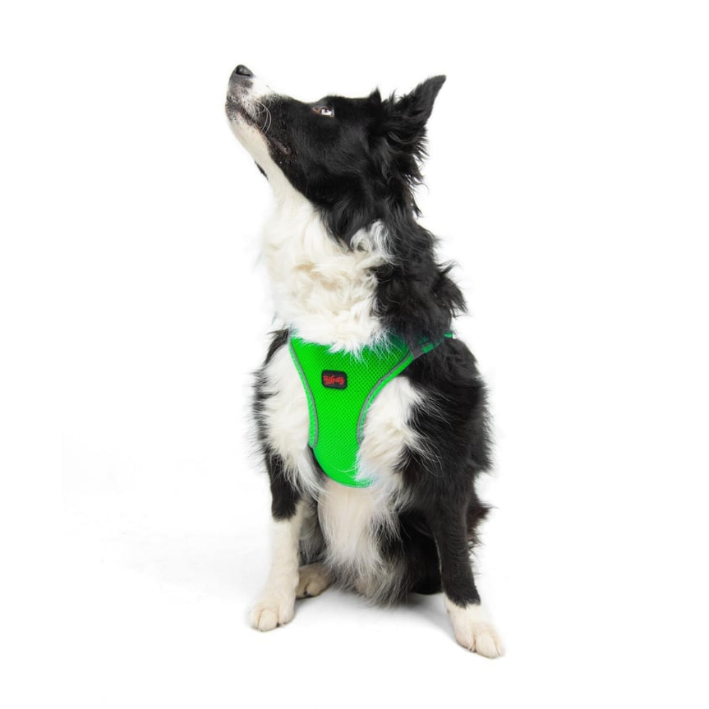 TailPetz Airmesh Neo Green Köpek Göğüs Tasması XL
