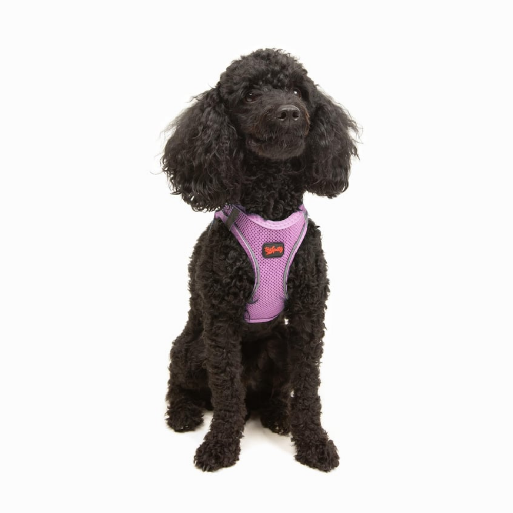 Tailpetz Airmesh Harness Lılac Köpek Göğüs Tasması XS