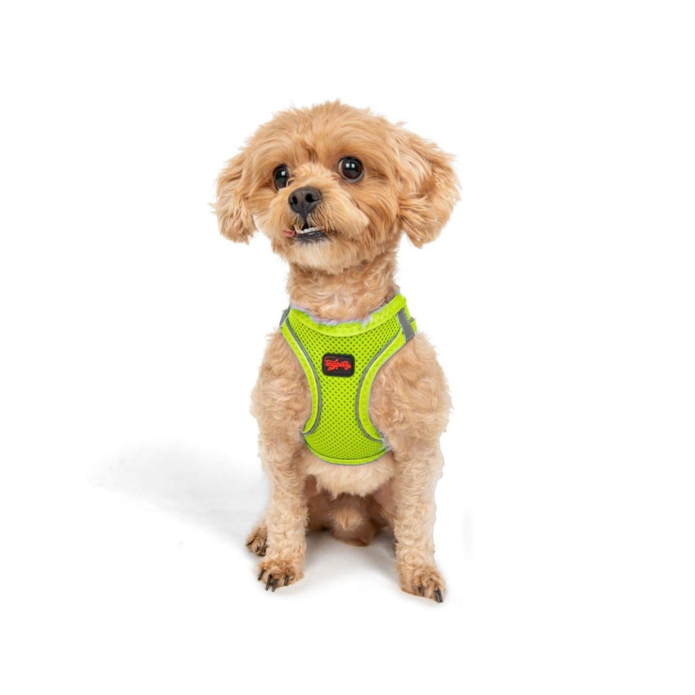 TailPetz Airmesh Neo Lime Köpek Göğüs Tasması 3XS