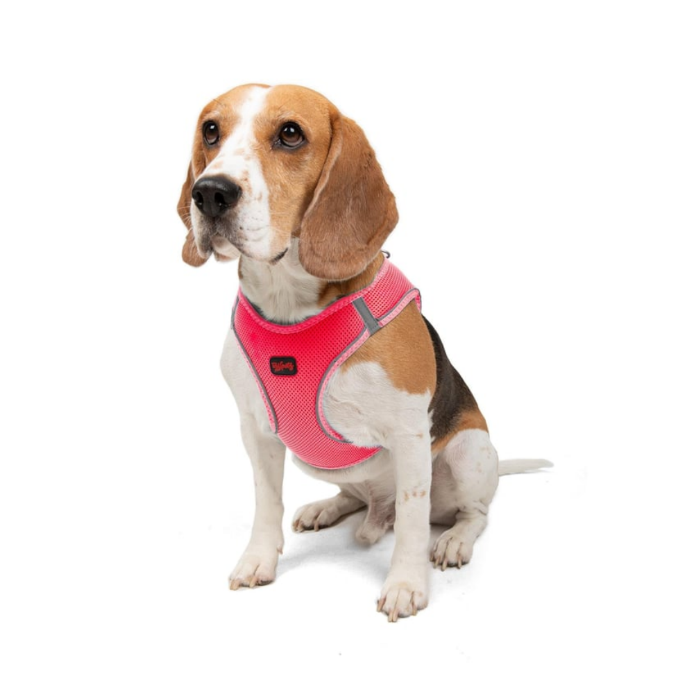 TailPetz Airmesh Neo Pink Köpek Göğüs Tasması L